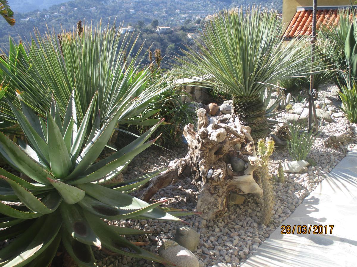 Les Mimosas Bed and Breakfast Menton Exterior foto